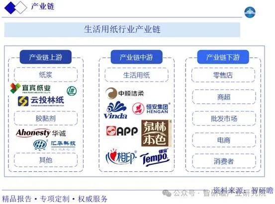 现状调研及发展趋势投资战略分析报告EVO真人平台中国生活用纸行业市场